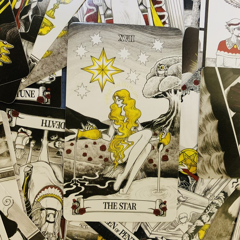 Secret Mirror Tarot cards 80 d - đánh giá và giá Board Game Quantum